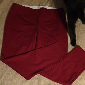 Calvin Klein Men's Deep Red Chinos